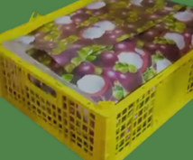 Mangosteen Grade MARKET ABC/A2